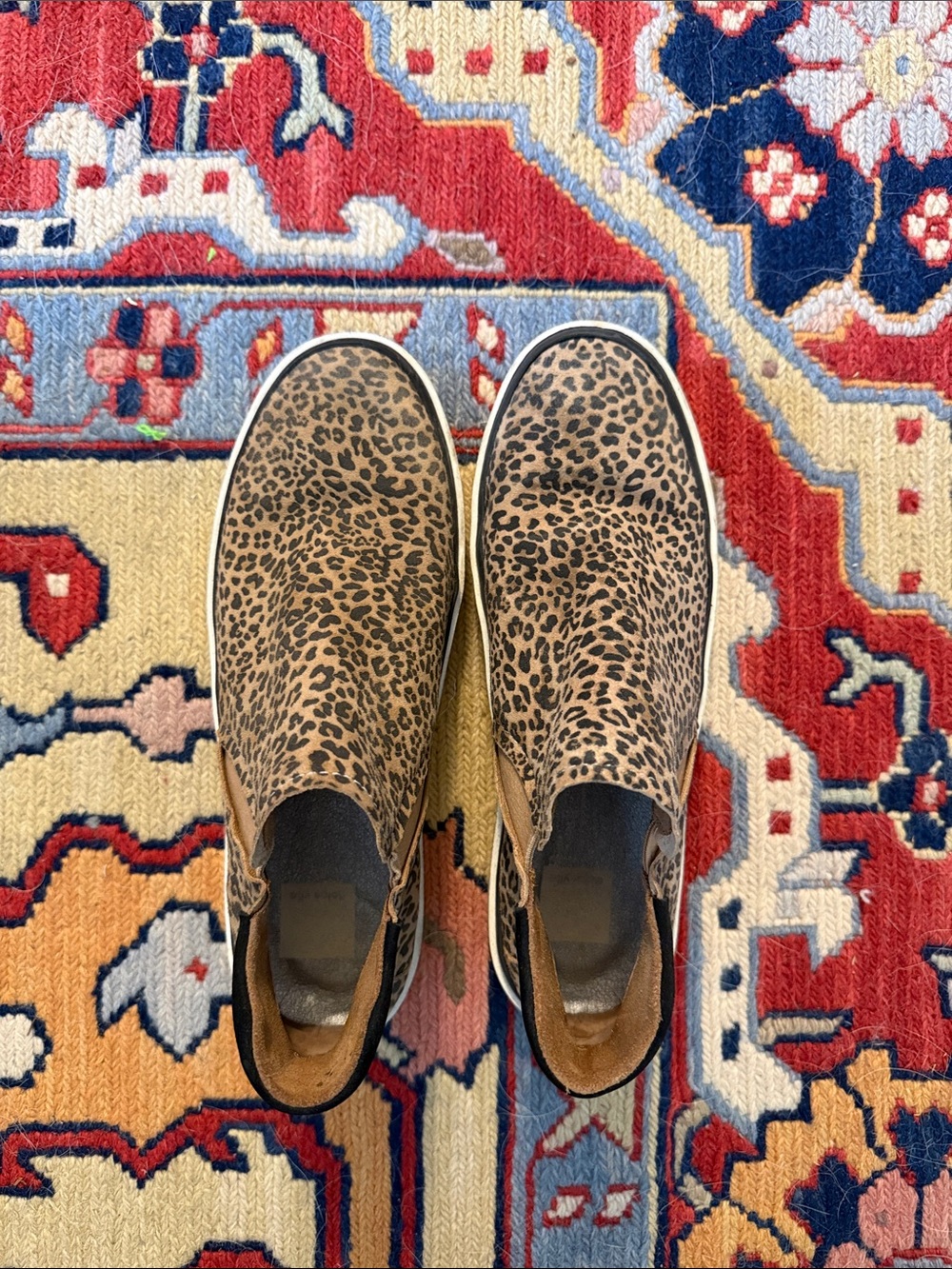 Dolce Vita Leopard-Print Slip-On Sneakers with Black Heel Accent